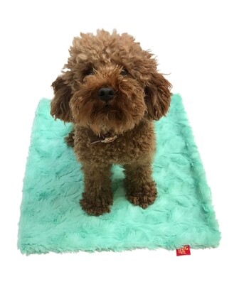 Carrier Square, Bella, Seafoam