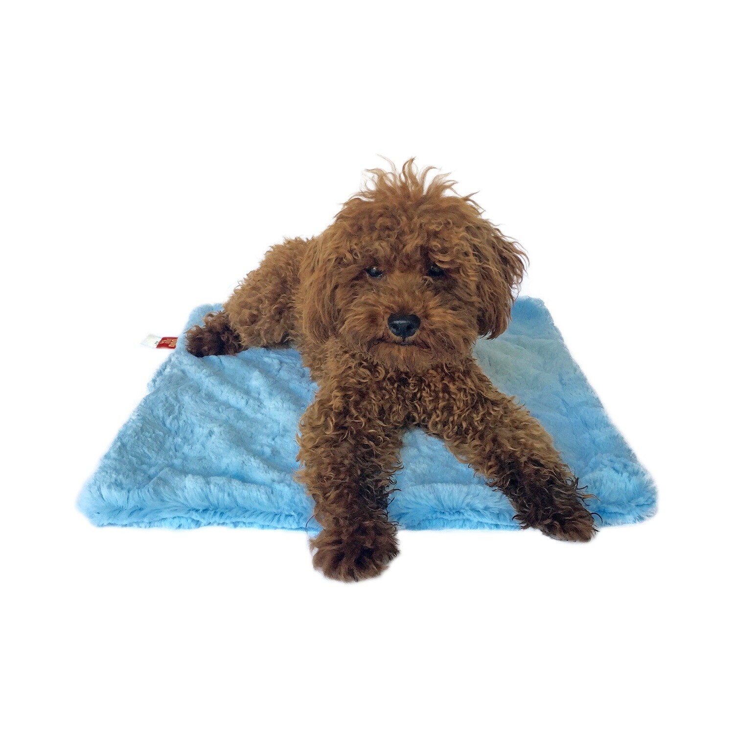 Carrier Square, Bella, Lt. Blue