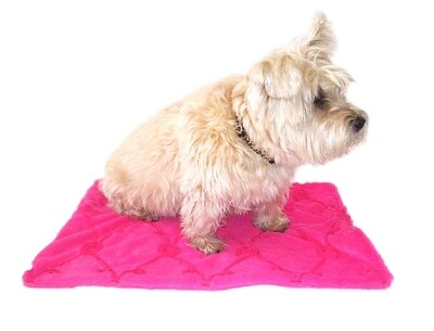 Carrier Square, Embroidered Roses, Hot Pink