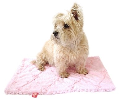 Carrier Square, Embroidered Roses, Pale Pink