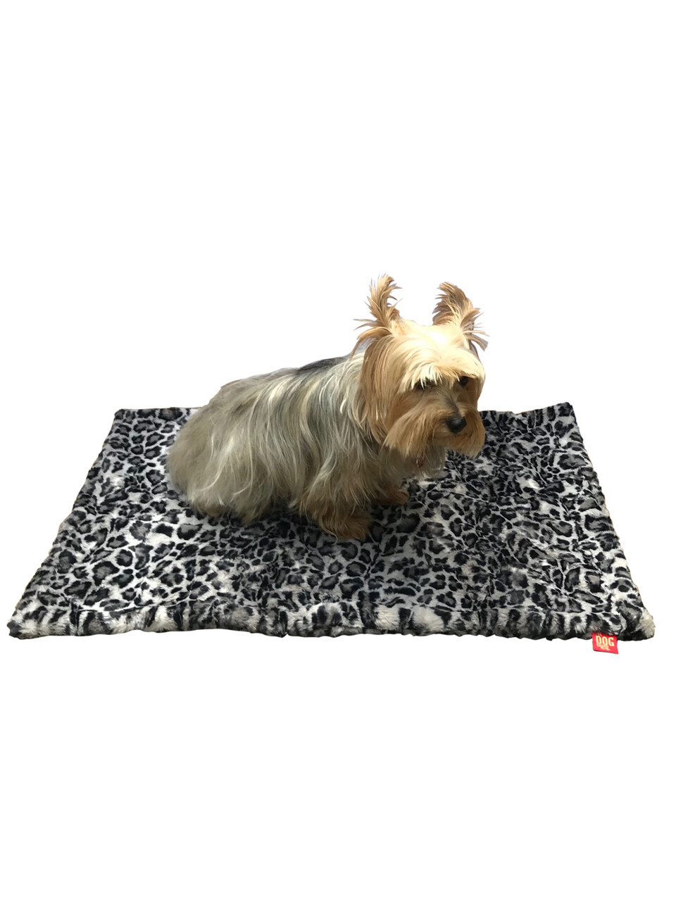 Small Blanket, Leopard Steel