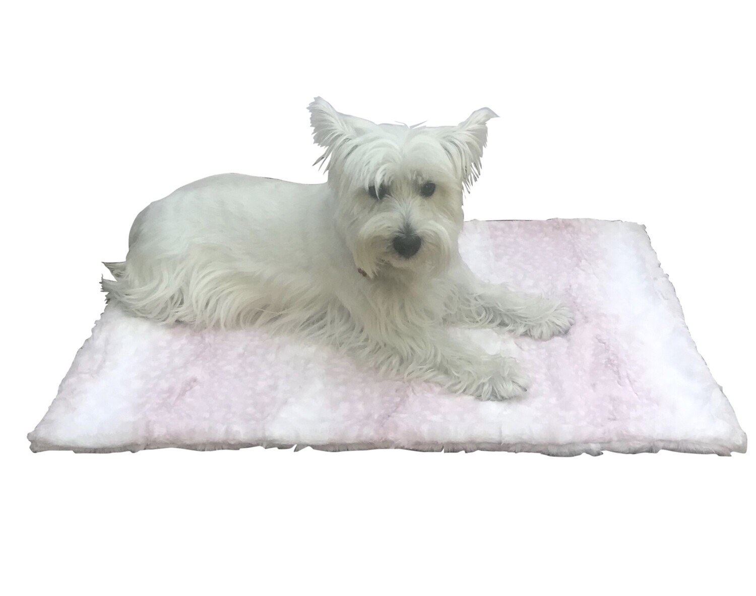 Carrier Square, Fawn Luxe Rosewater