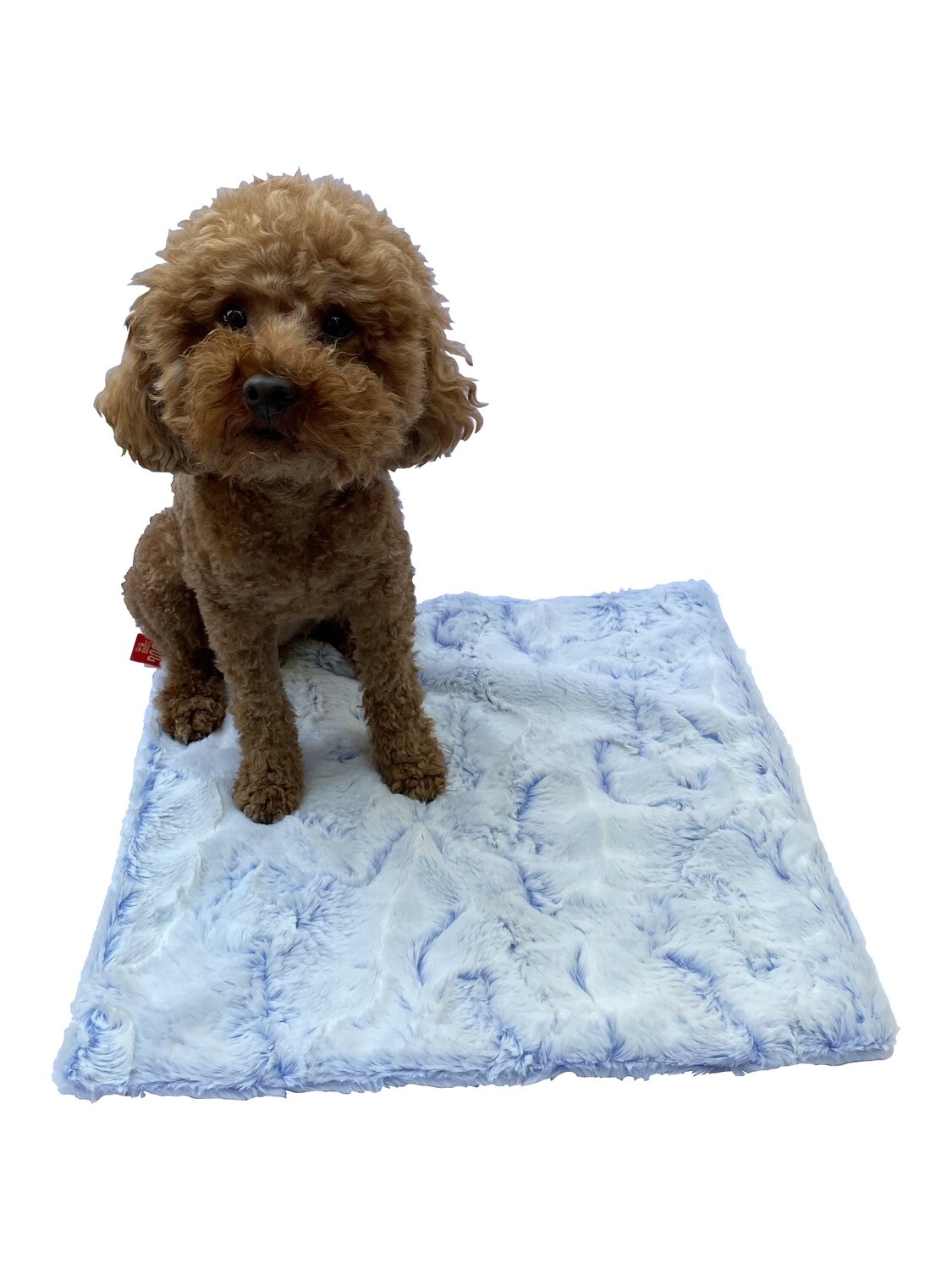 Carrier Square, Frosted Cornflower