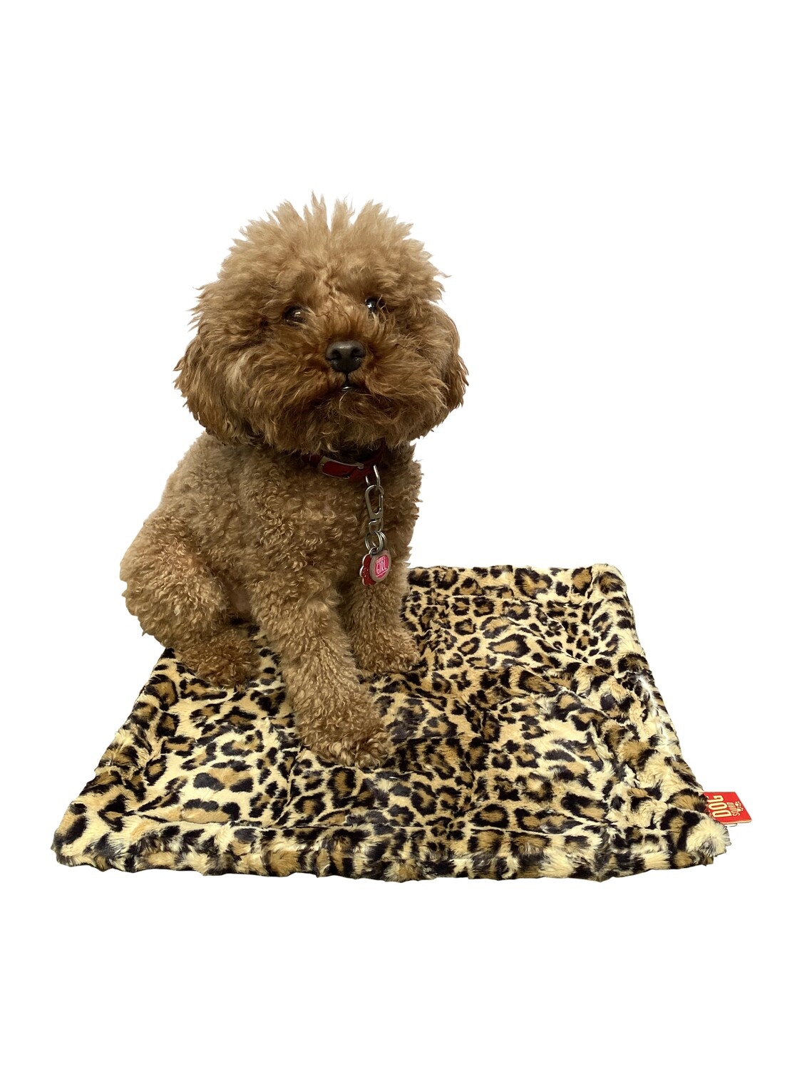 Carrier Square, Leopard Sand