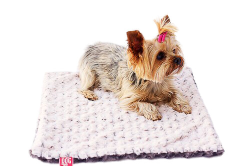 Carrier Square, Two Tone Rosebud, Ivory/Brown