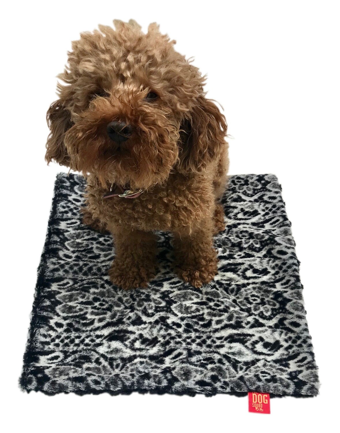 Carrier Square, Black Moroccan