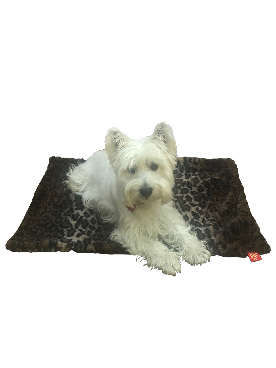 Small Blanket, Dark Brown Leopard and Brown
