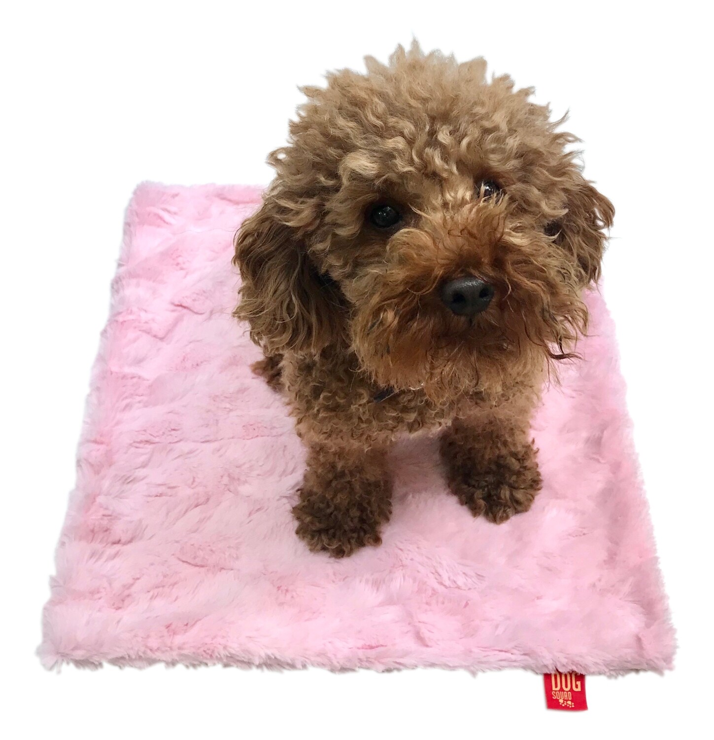 Carrier Square, Bella, Lt. Pink