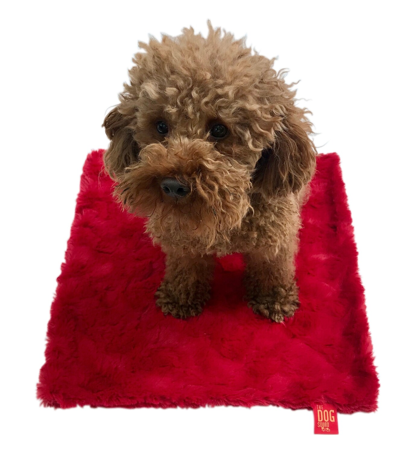 Carrier Square, Bella, Red