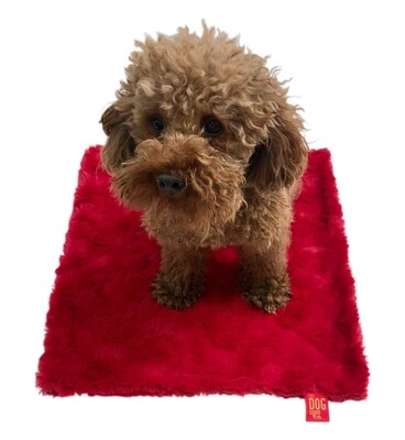 Carrier Square, Bella, Red