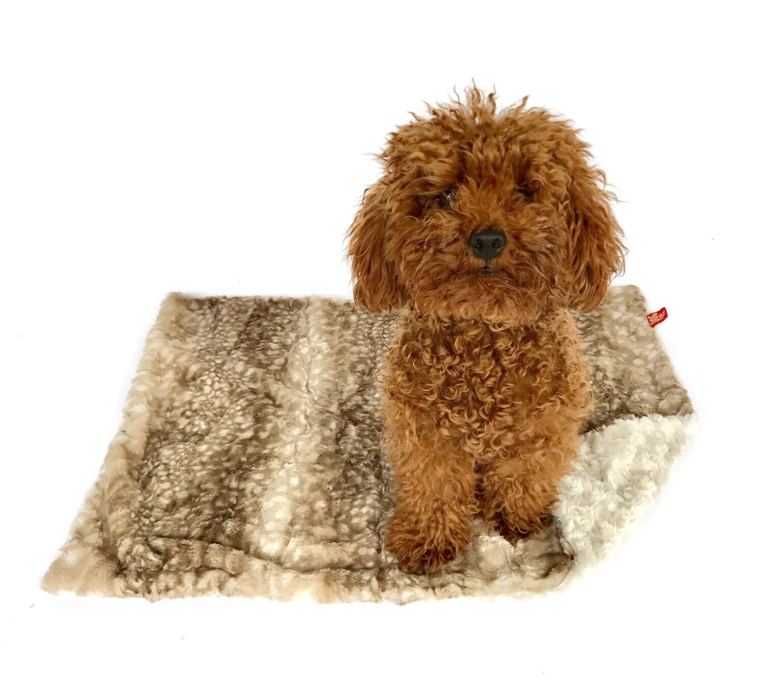 Carrier Square, Fawn Cappuccino