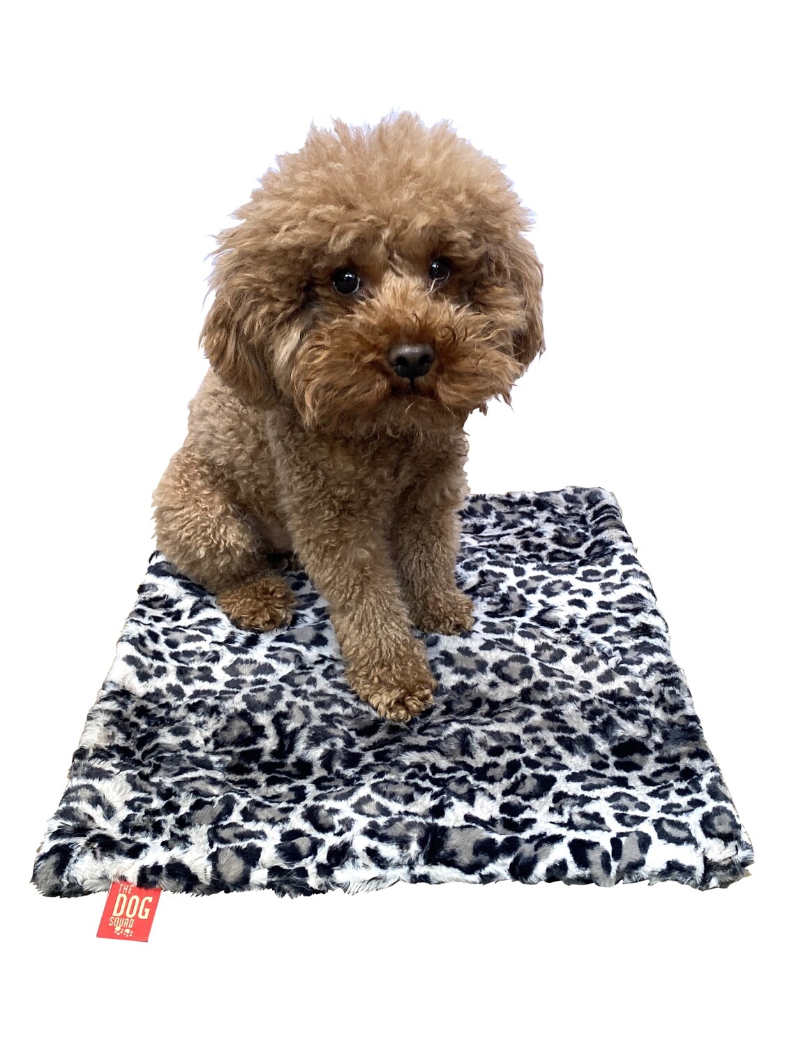 Carrier Square, Leopard Steel
