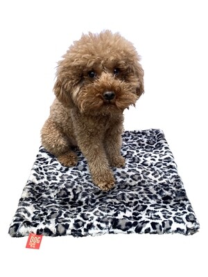 Carrier Square, Leopard Steel