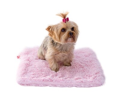Carrier Square, Powder Puff, Ivory