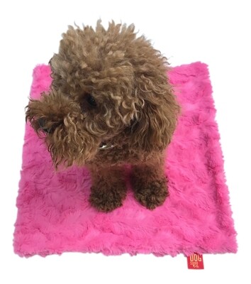 Carrier Square, Bella, Hot Pink 