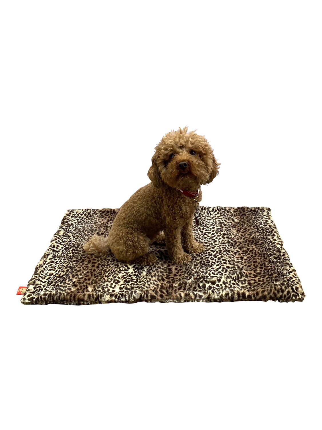 Small Blanket, Brown Cheetah