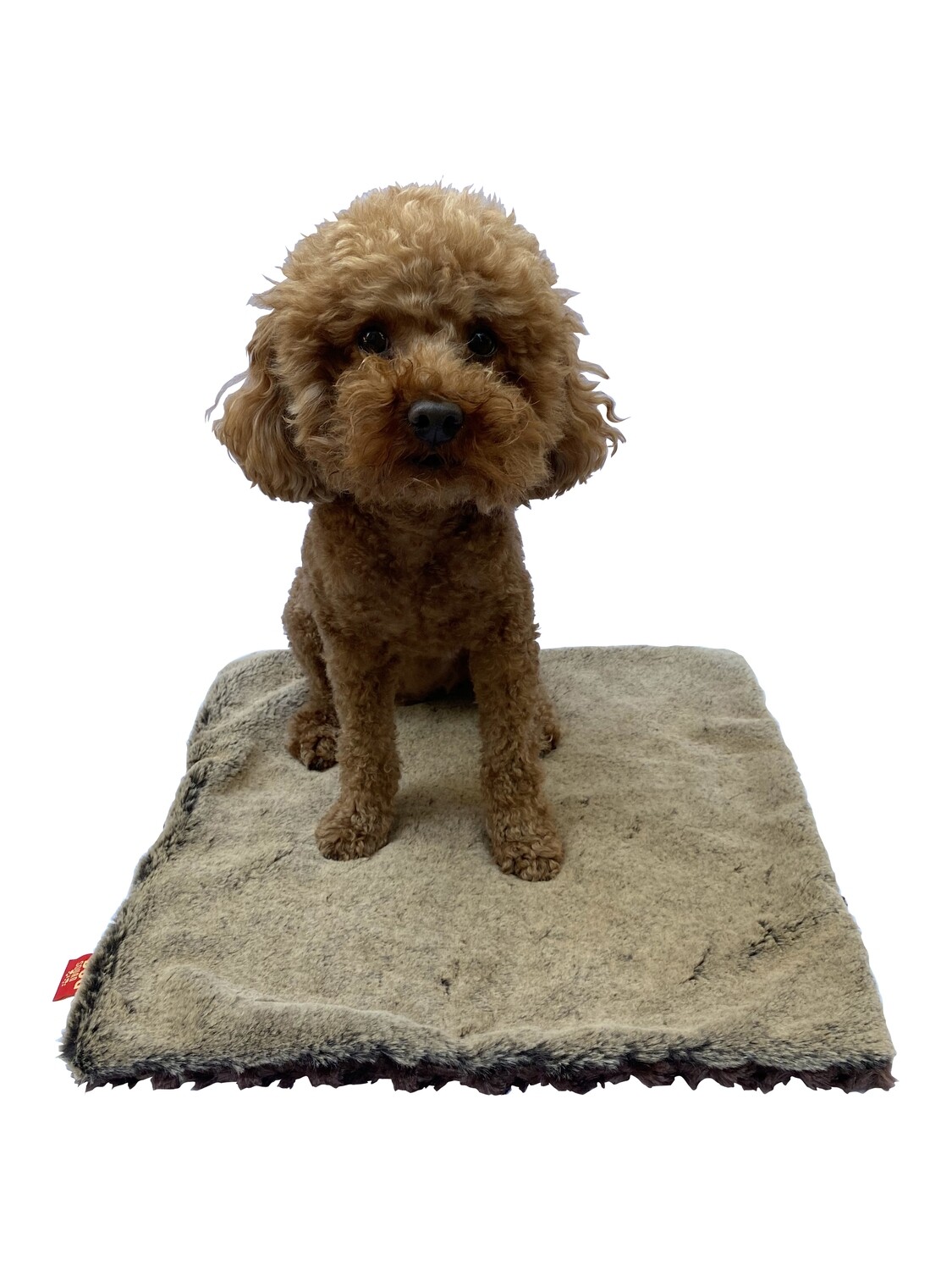 Carrier Square, Brown Seal
