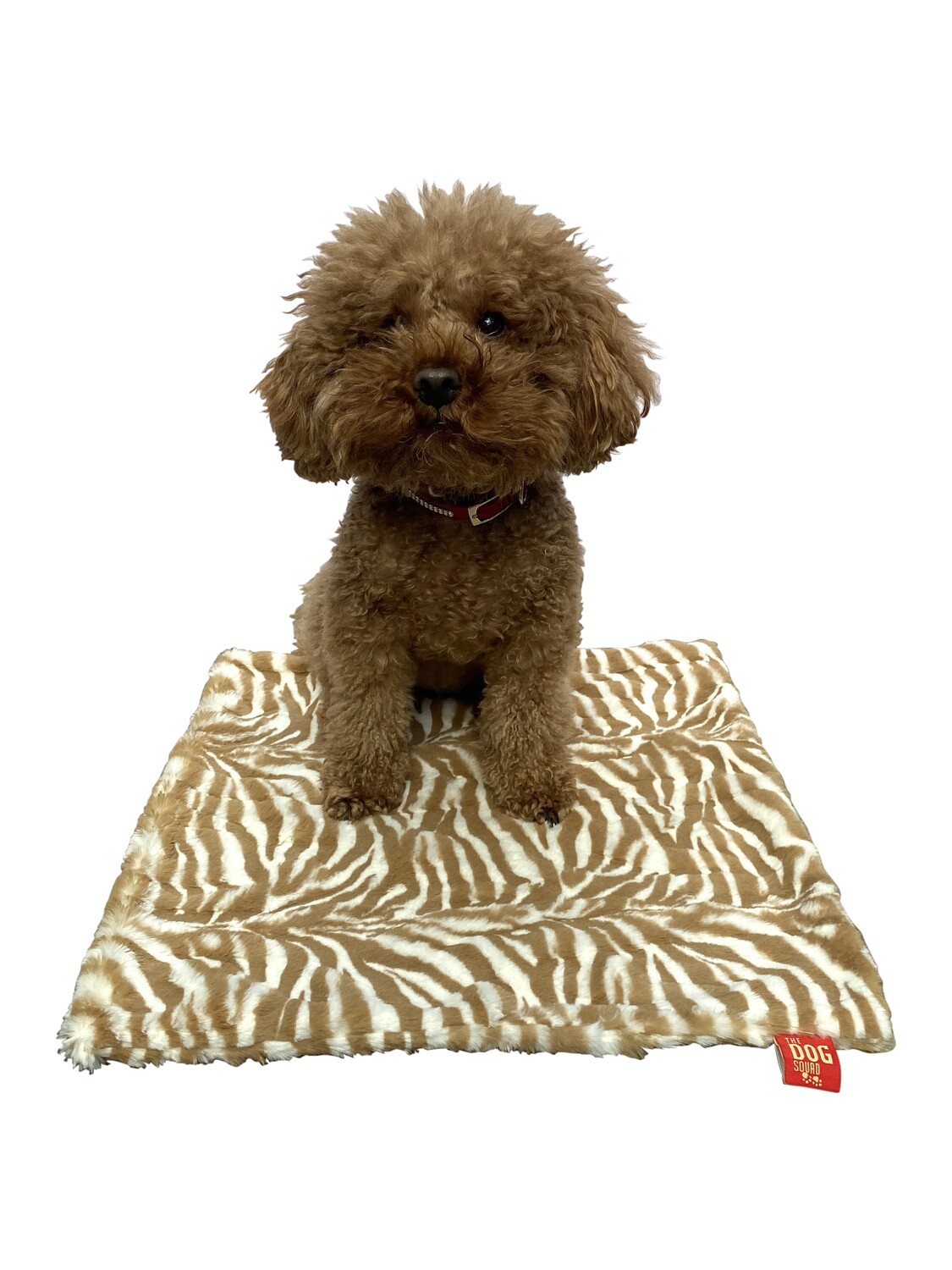 Carrier Square, Zebra Cappuccino