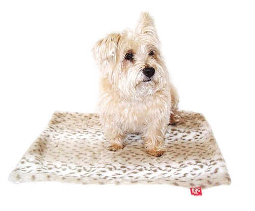 Carrier Square, Sno Leopard