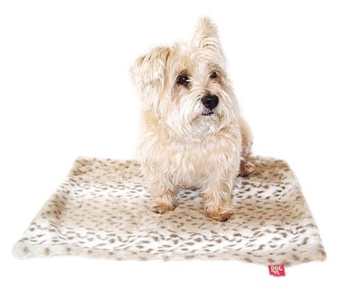 Carrier Square, Sno Leopard
