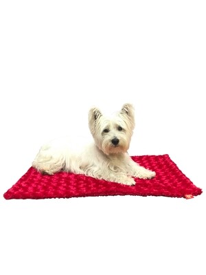 Small Blanket, Rosebud, Red