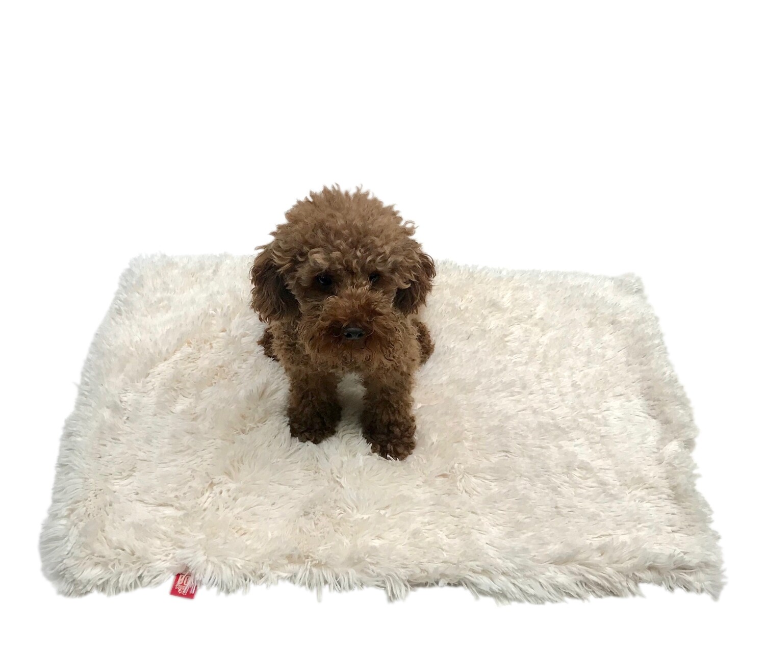 Small Blanket, Powder Puff, Ivory