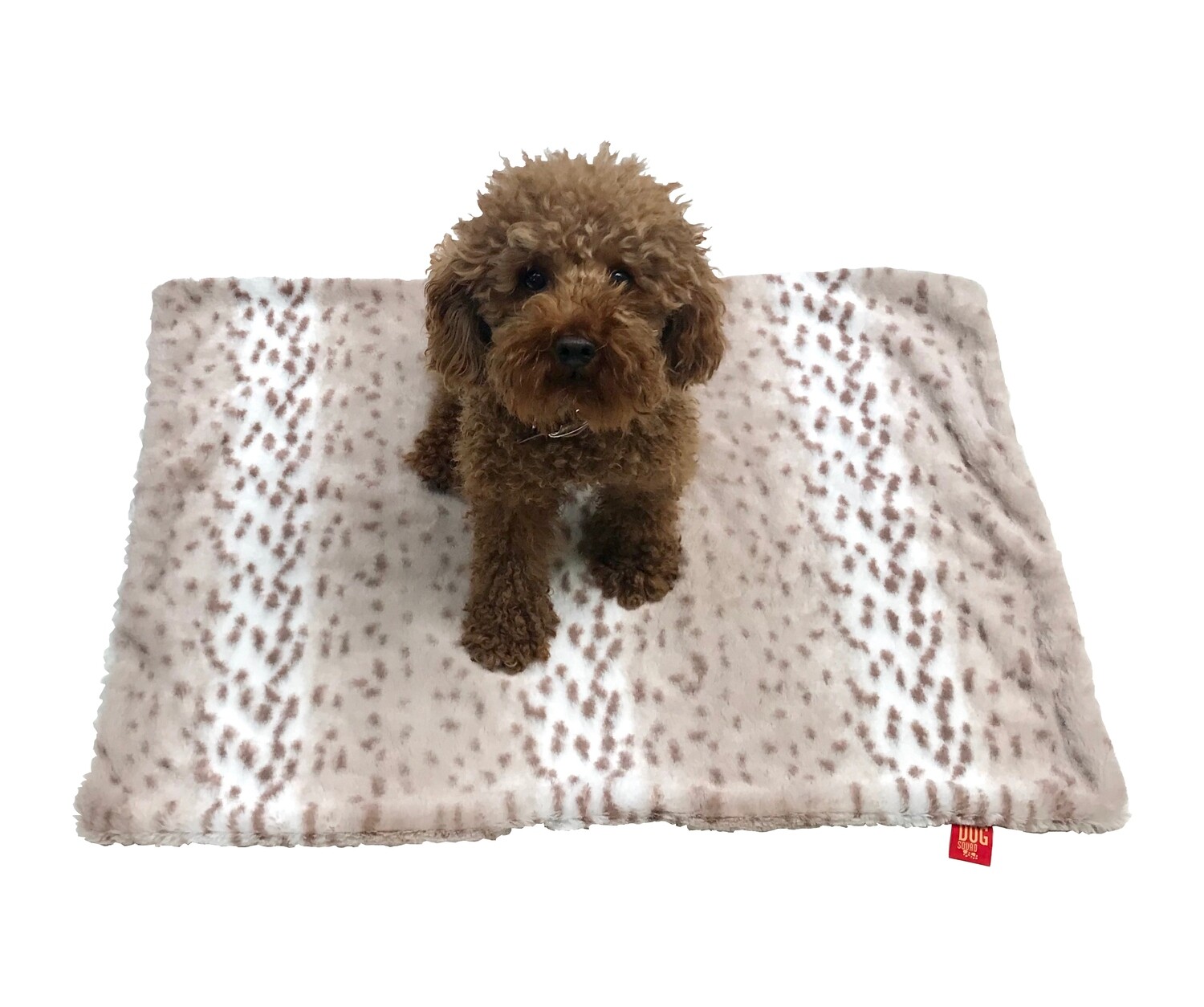 Small Blanket, Sno Leopard