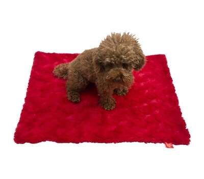 Small Blanket, Bella, Red