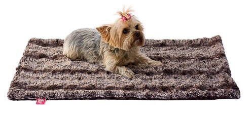 Medium Blanket, Alligator