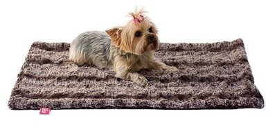 Medium Blanket, Alligator