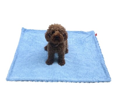 Medium Blanket, Blue Paisley