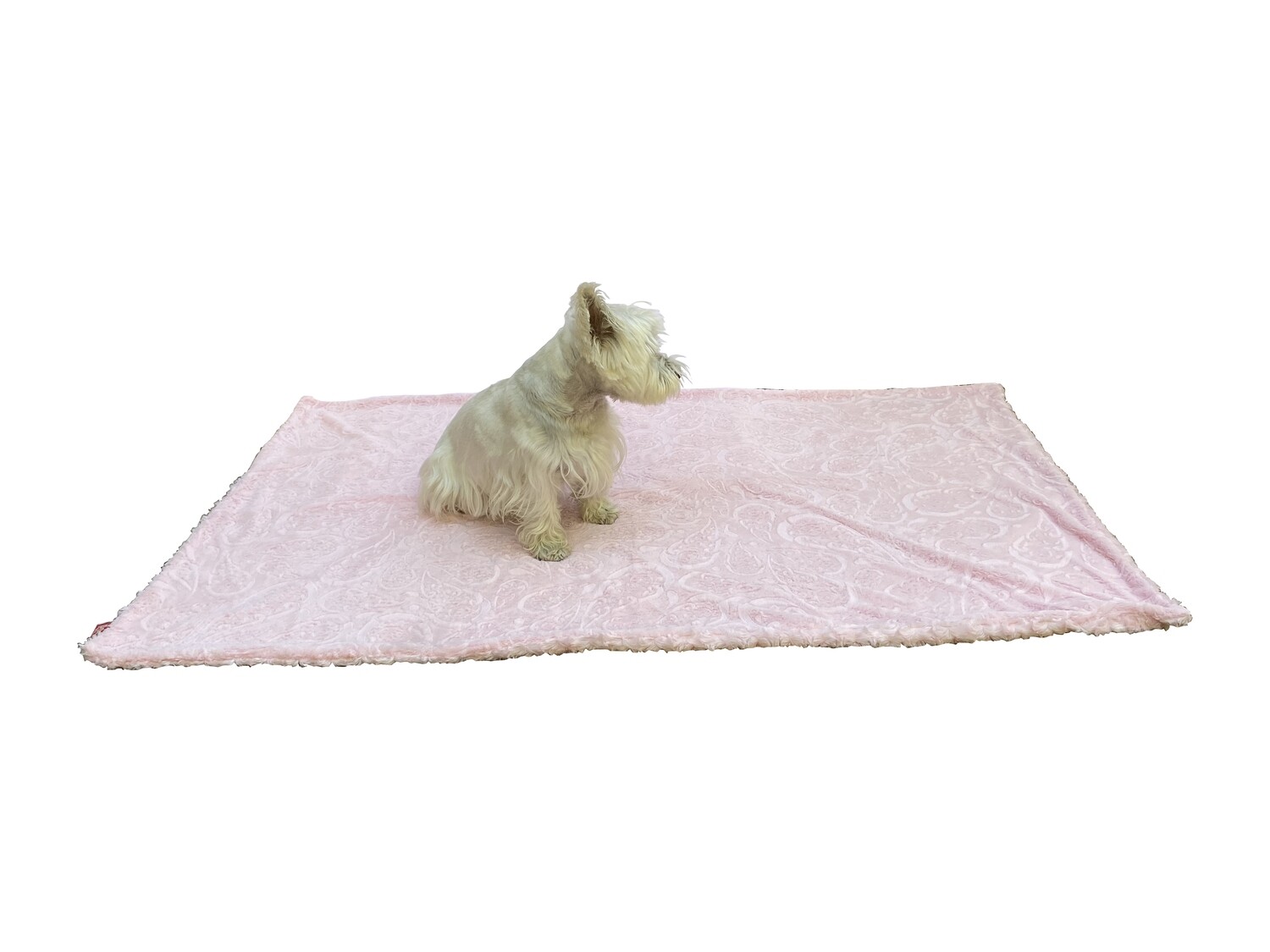 Large Blanket, Pink Paisley and Pink