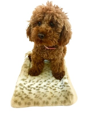 Crate Liner, Sno Leopard