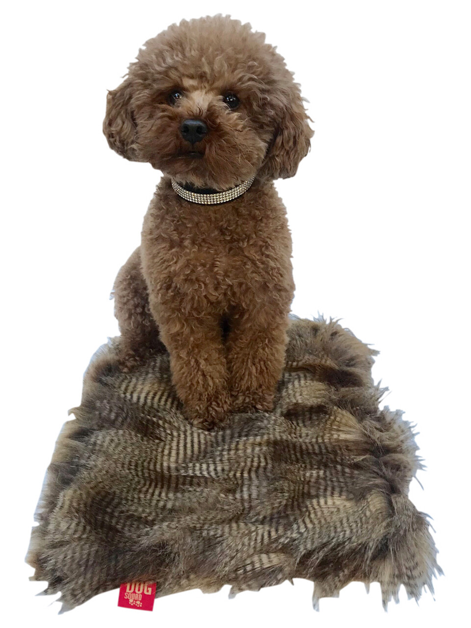 Crate Liner, Luxury, Porcupine