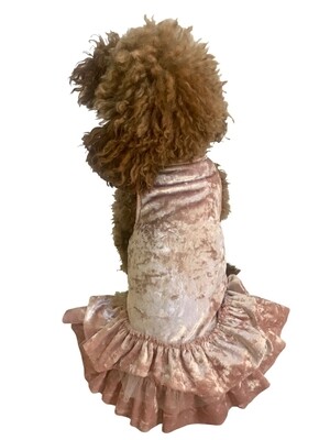 Crushing on You, Metallic Velvet Dress, Blush