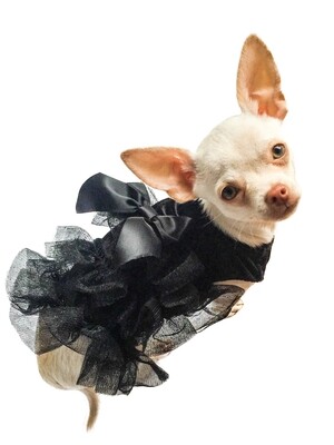 Dress, Red Carpet Ruffle, Black