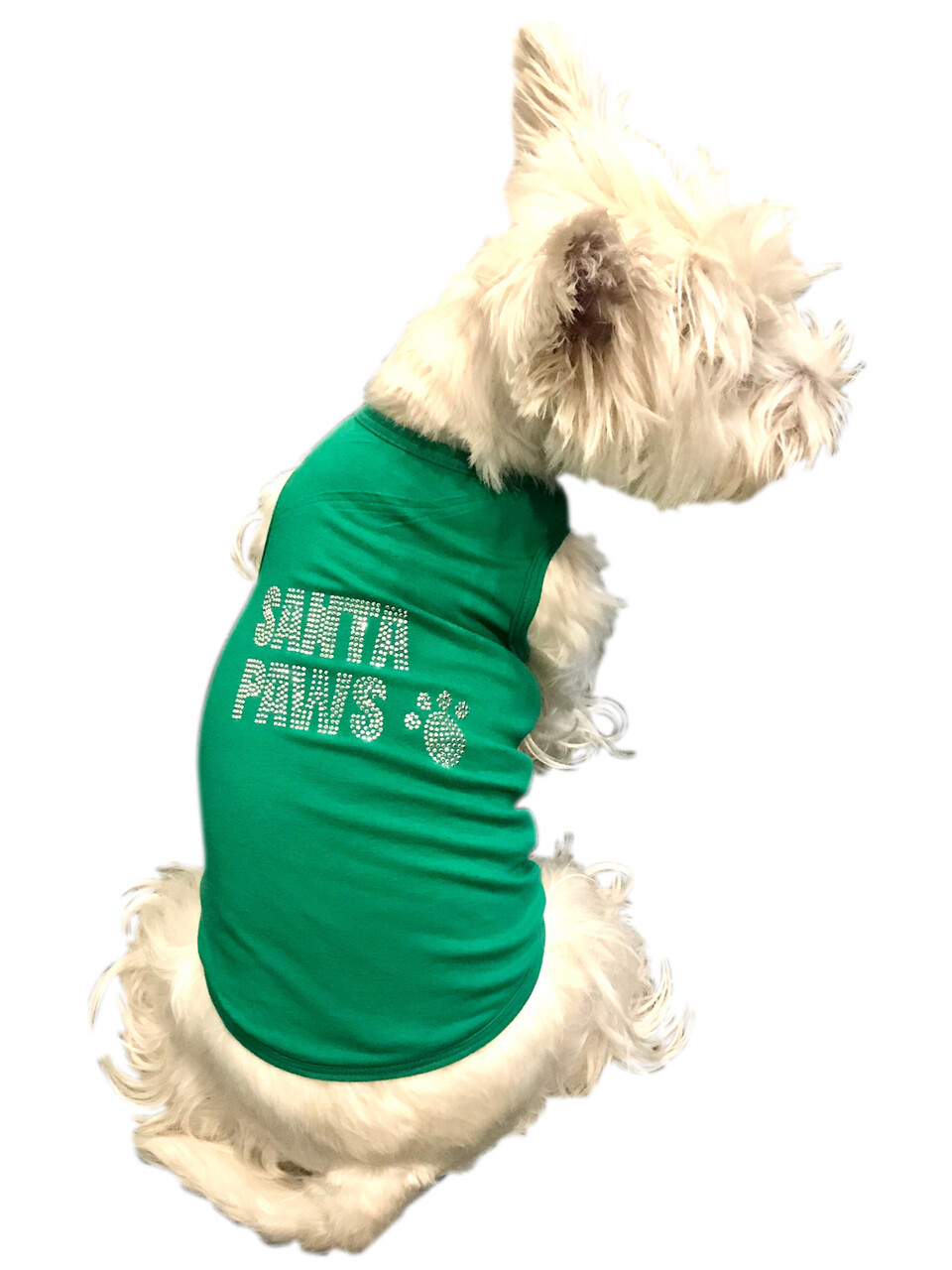 Tank, Big Santa Paws, Christmas, Green