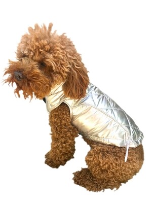 Gallactica Coat, Metallic, Silver