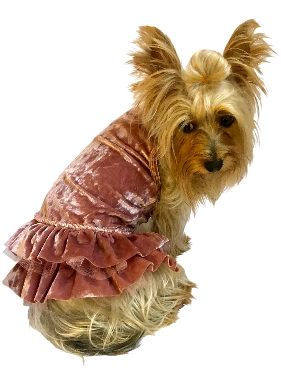 Crushing on You, Metallic Velvet Dress, Rosewater, Size: L, Color: Rosewater