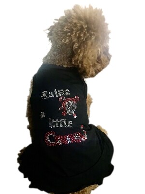 Dress, Raise a Little Cane