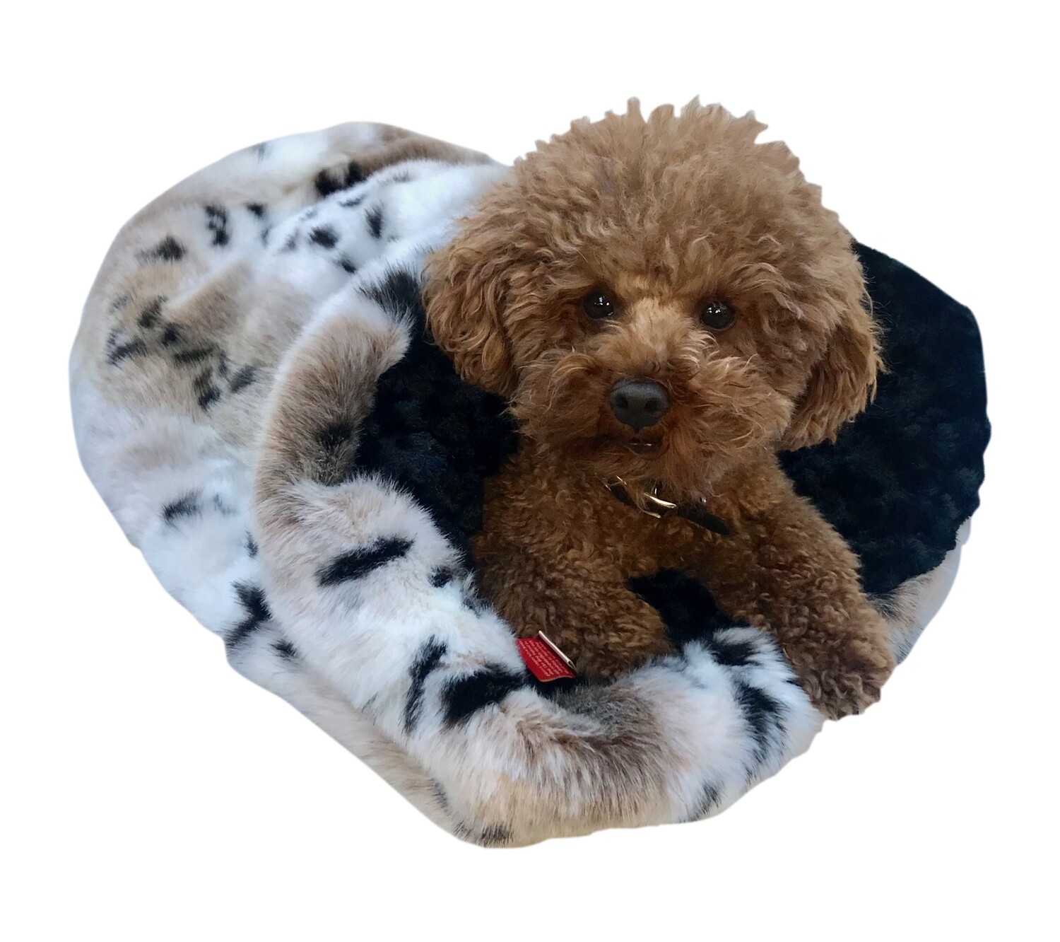 Cozy, Sno Linx Plush
