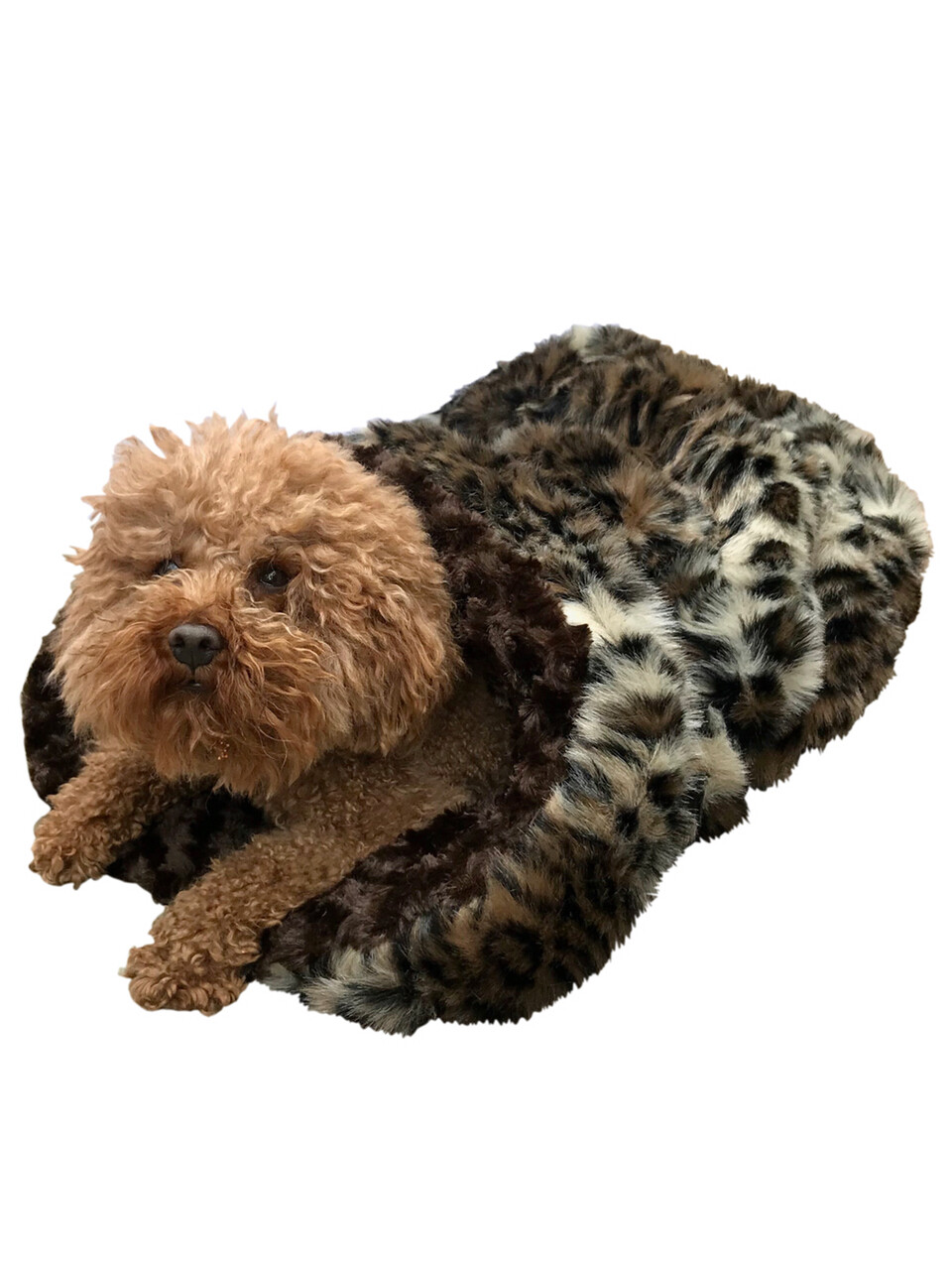 Cozy, Animal Plush