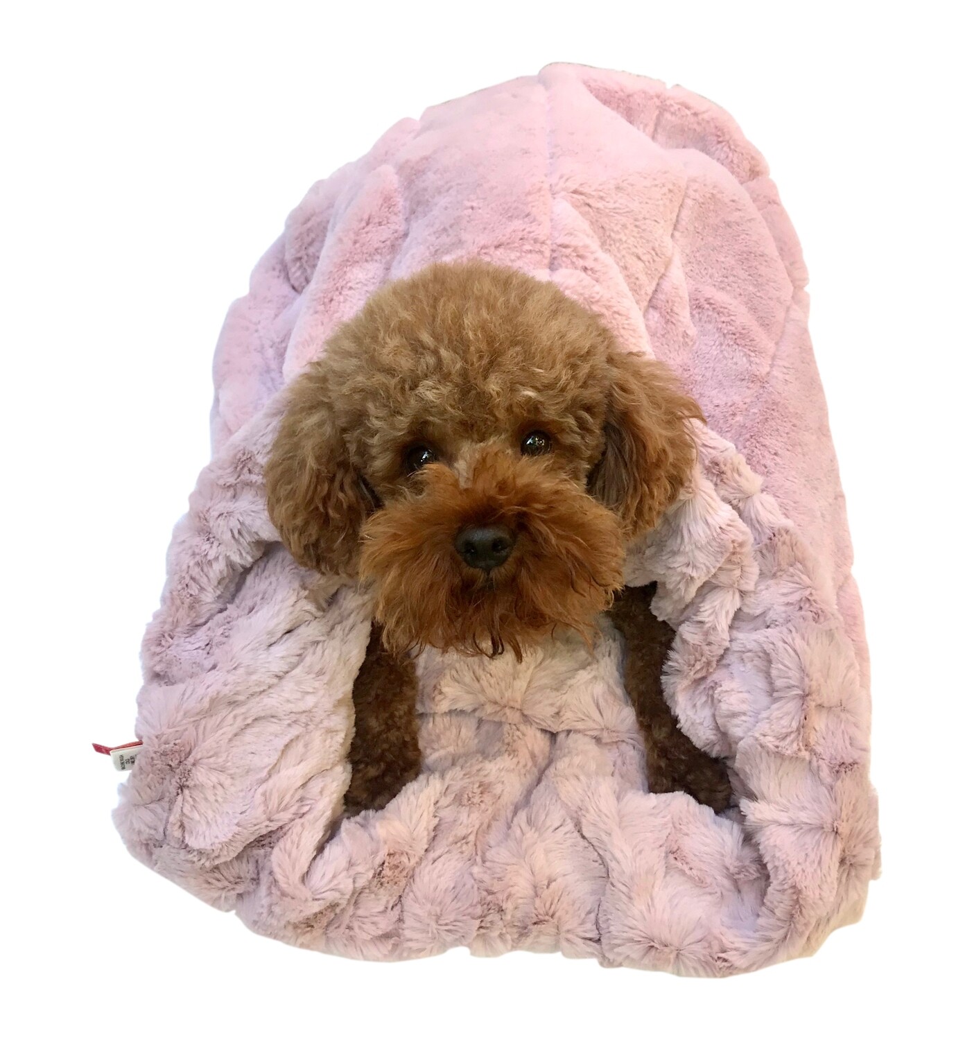 Cozy, Blush Koala