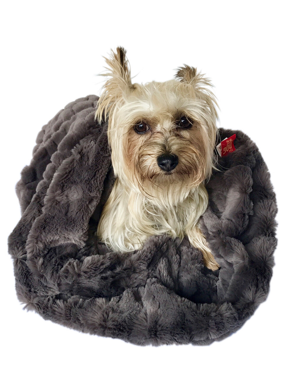 Cozy Reversible Koala/Bella Charcoal Fluff
