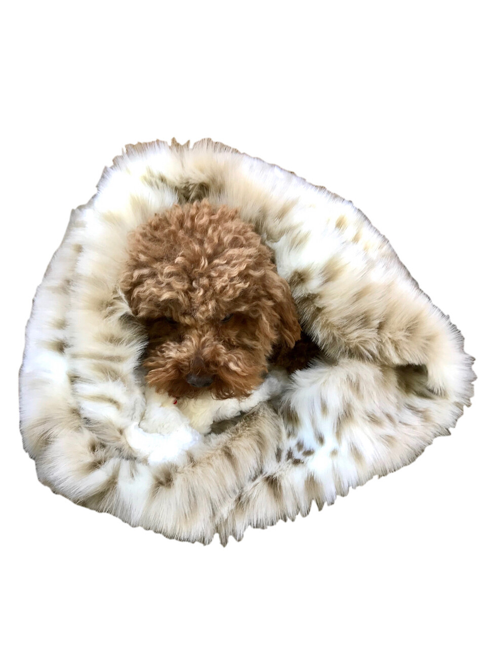 Cozy, Luxury Sno Leopard Shag
