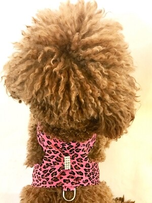 Hollywood Bow Harness, Pink Cheetah
