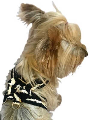 Hollywood Bow Harness, Zebra