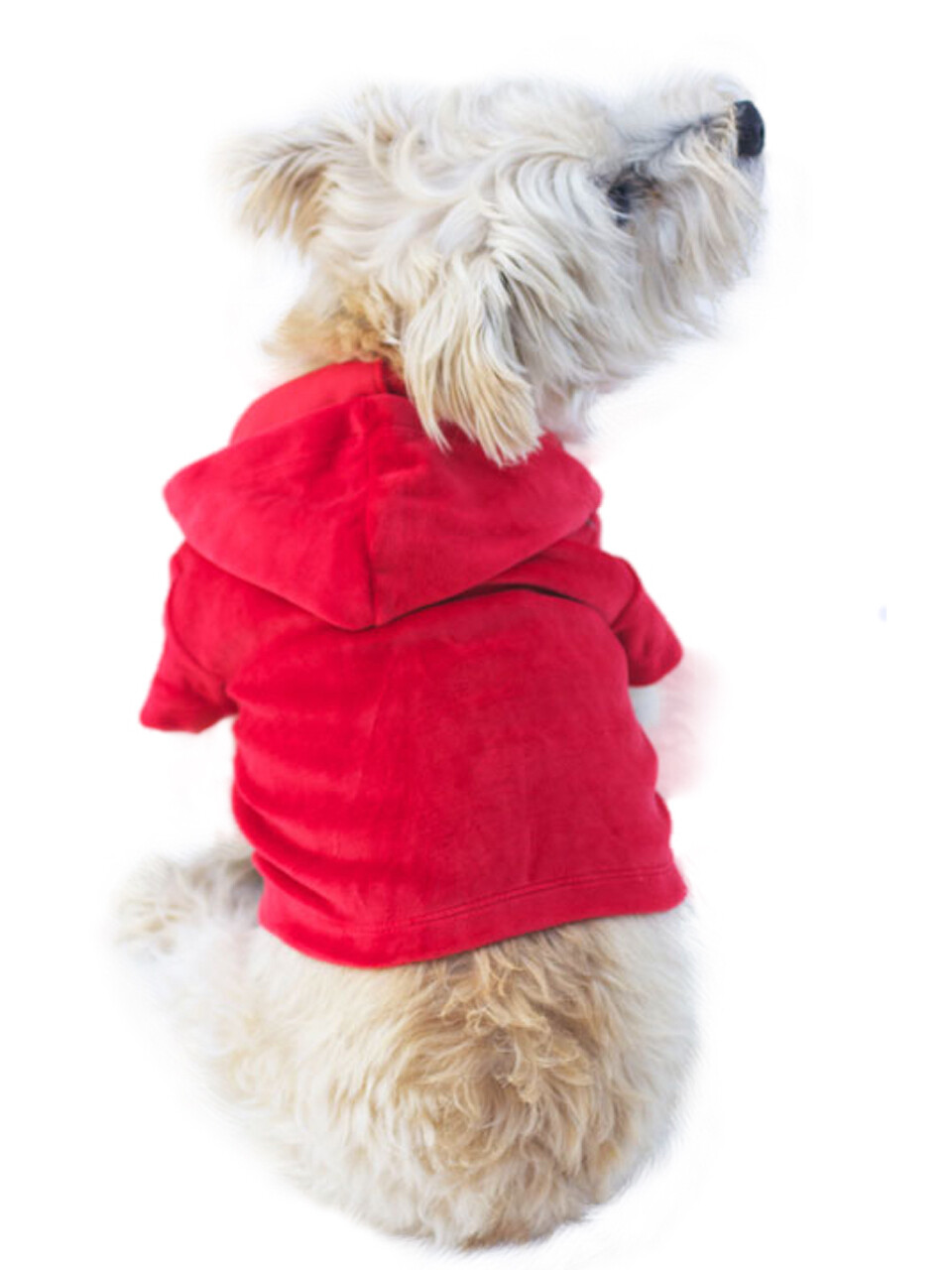 Velvet Hoodie Zip Front, Red