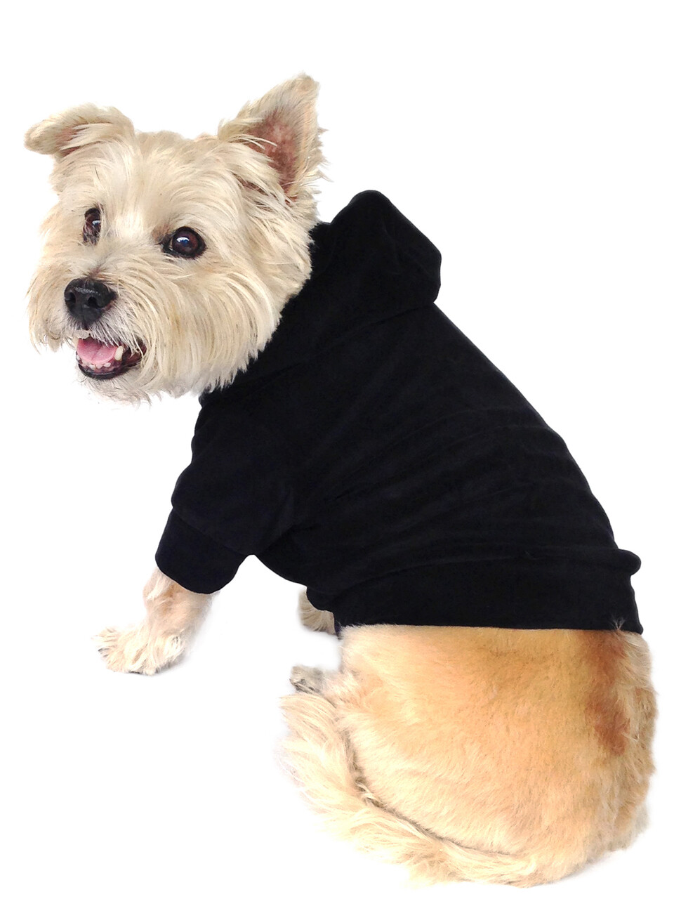 Velour Hoodie Pullover, Black