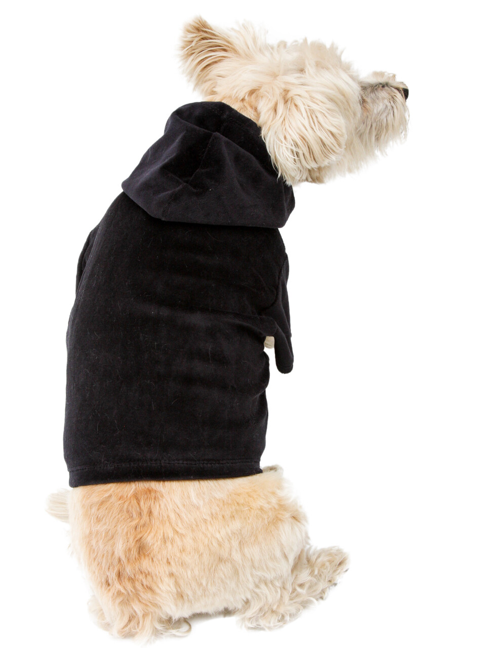 Velvet Hoodie Zip Front, Black